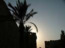 Palms Towers Sunset